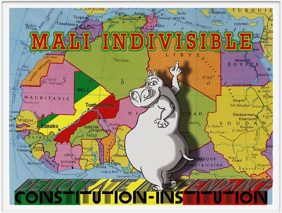 mali-constitution-2013-b1
