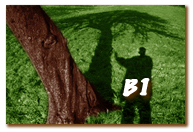 b&-logo